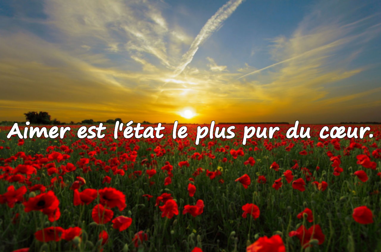 Citations sur le cœur
