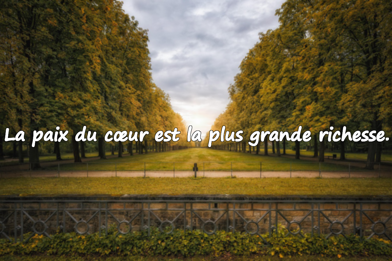 Citations sur le cœur (âme/esprit)