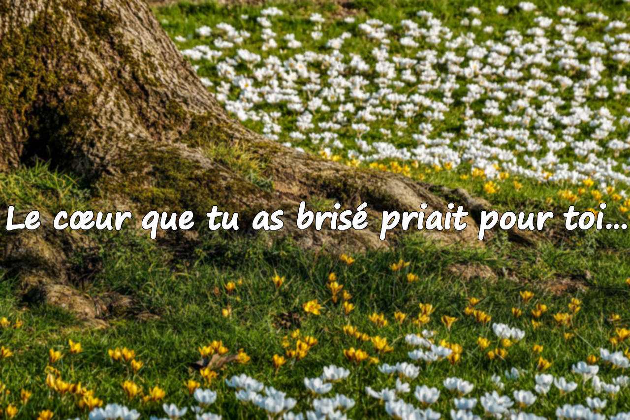 Citations sur le cœur brisé