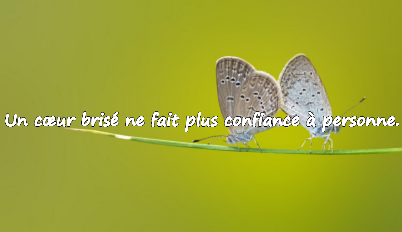 Citations sur le cœur brisé