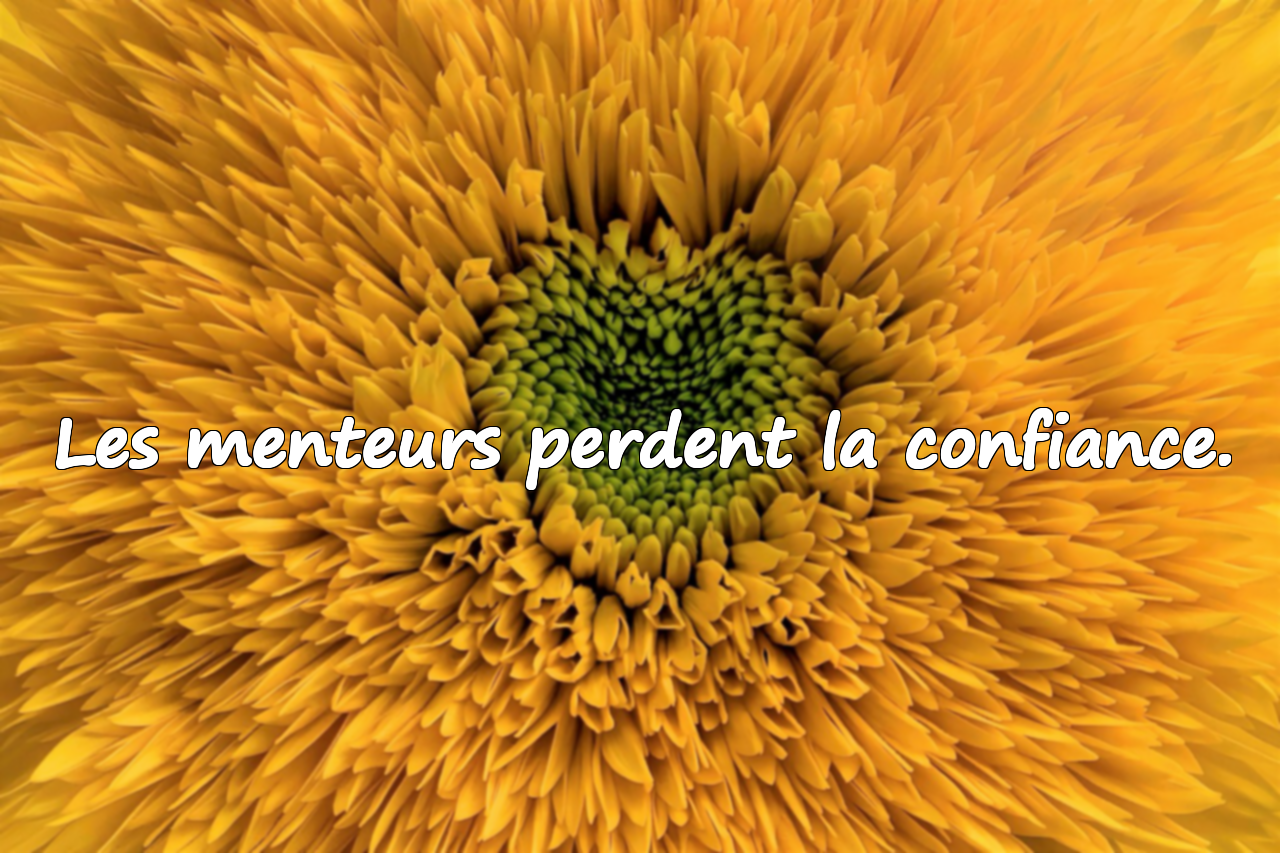 Citations sur le mensonge