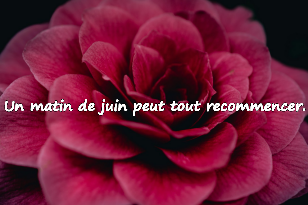 Citations sur le mois de juin