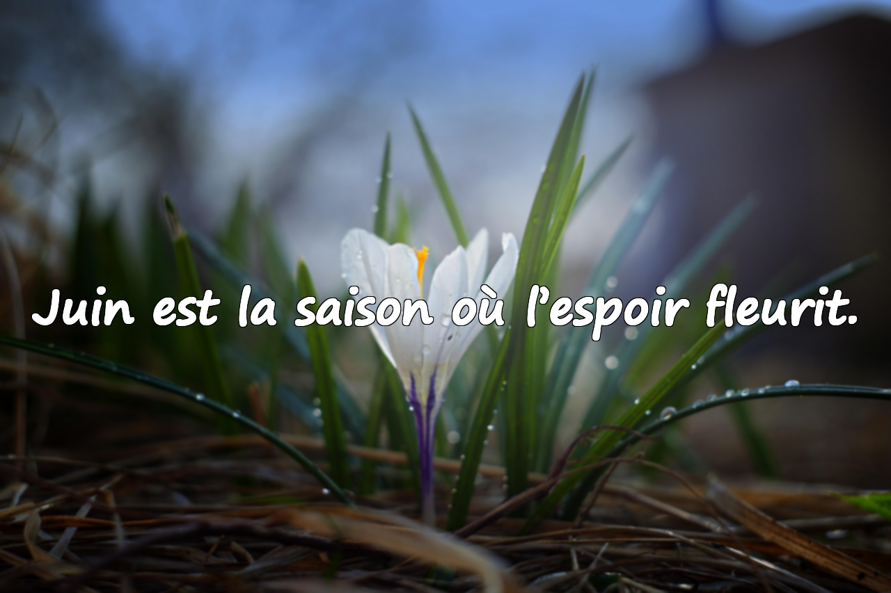 Citations sur le mois de juin