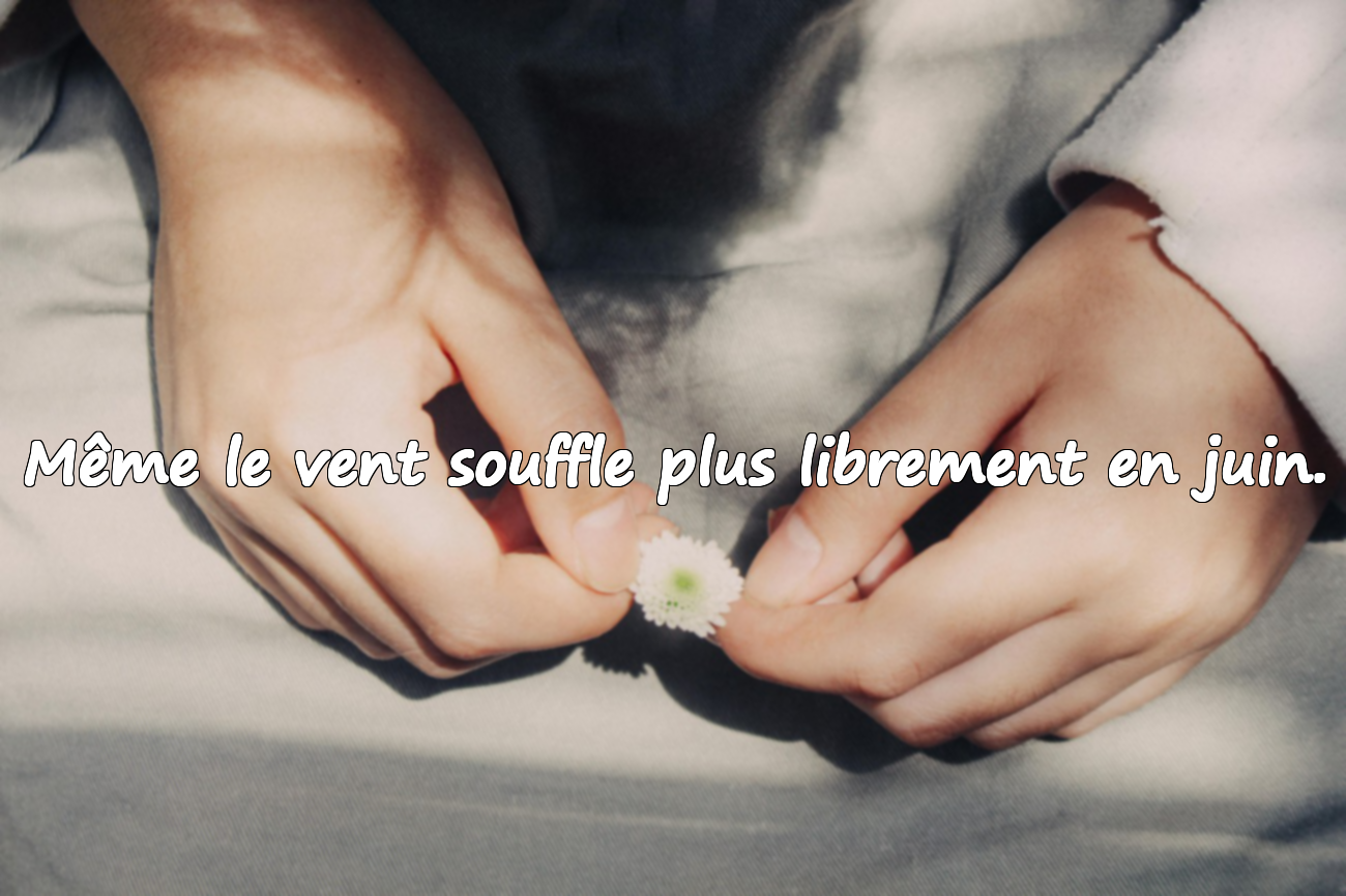 Citations sur le mois de juin
