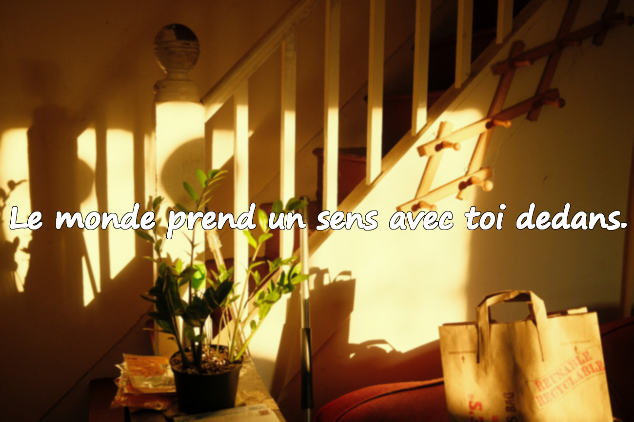Citations sur le monde