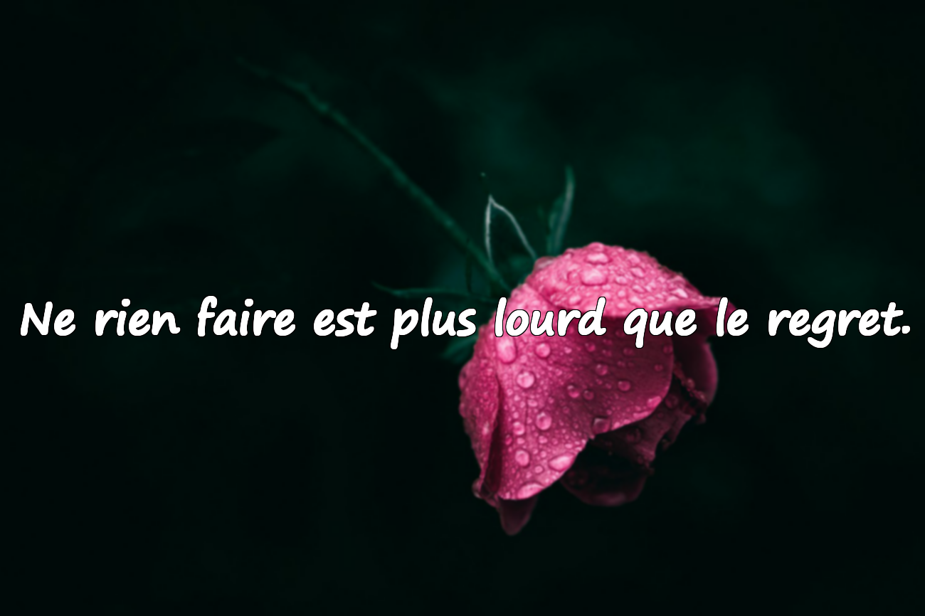 Citations sur le regret