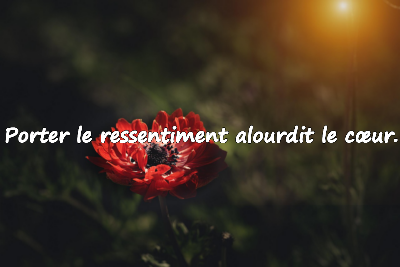 Citations sur le ressentiment