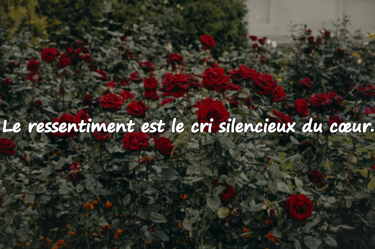 Citations sur le ressentiment