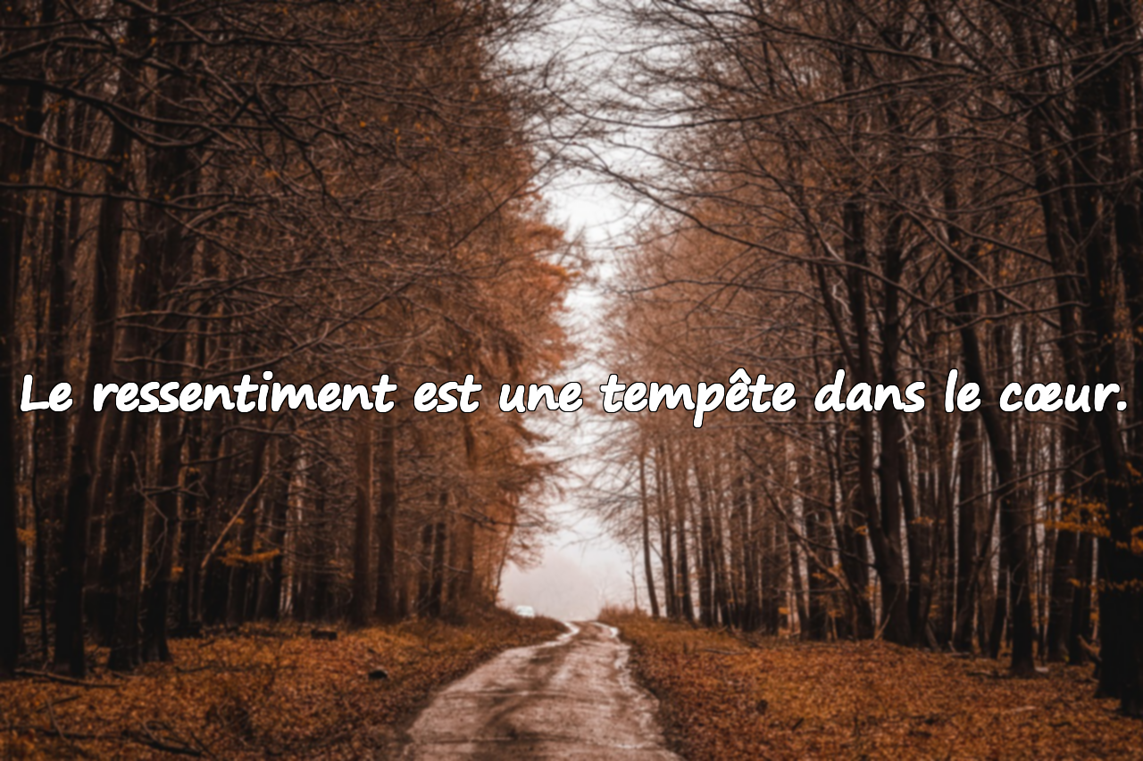 Citations sur le ressentiment