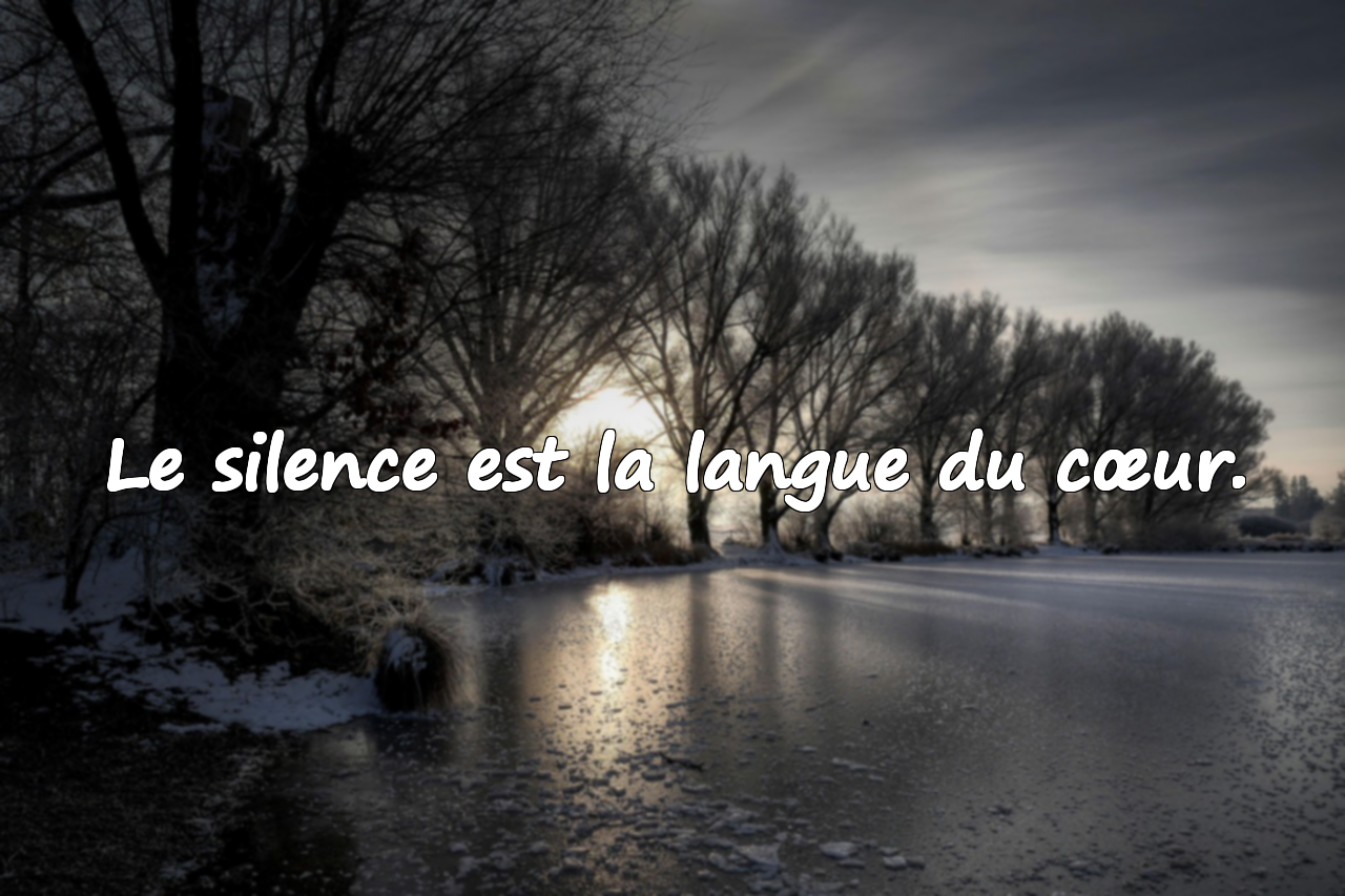 Citations sur le silence