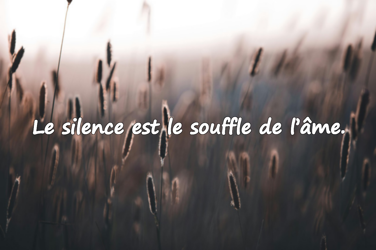 Citations sur le silence