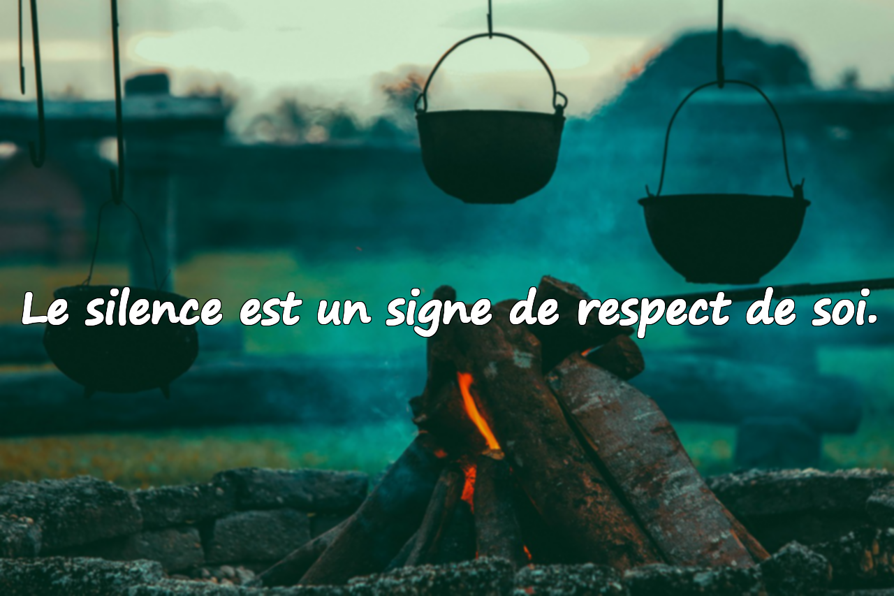 Citations sur le silence