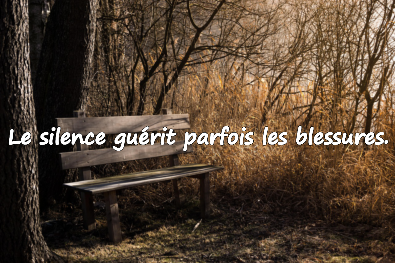 Citations sur le silence