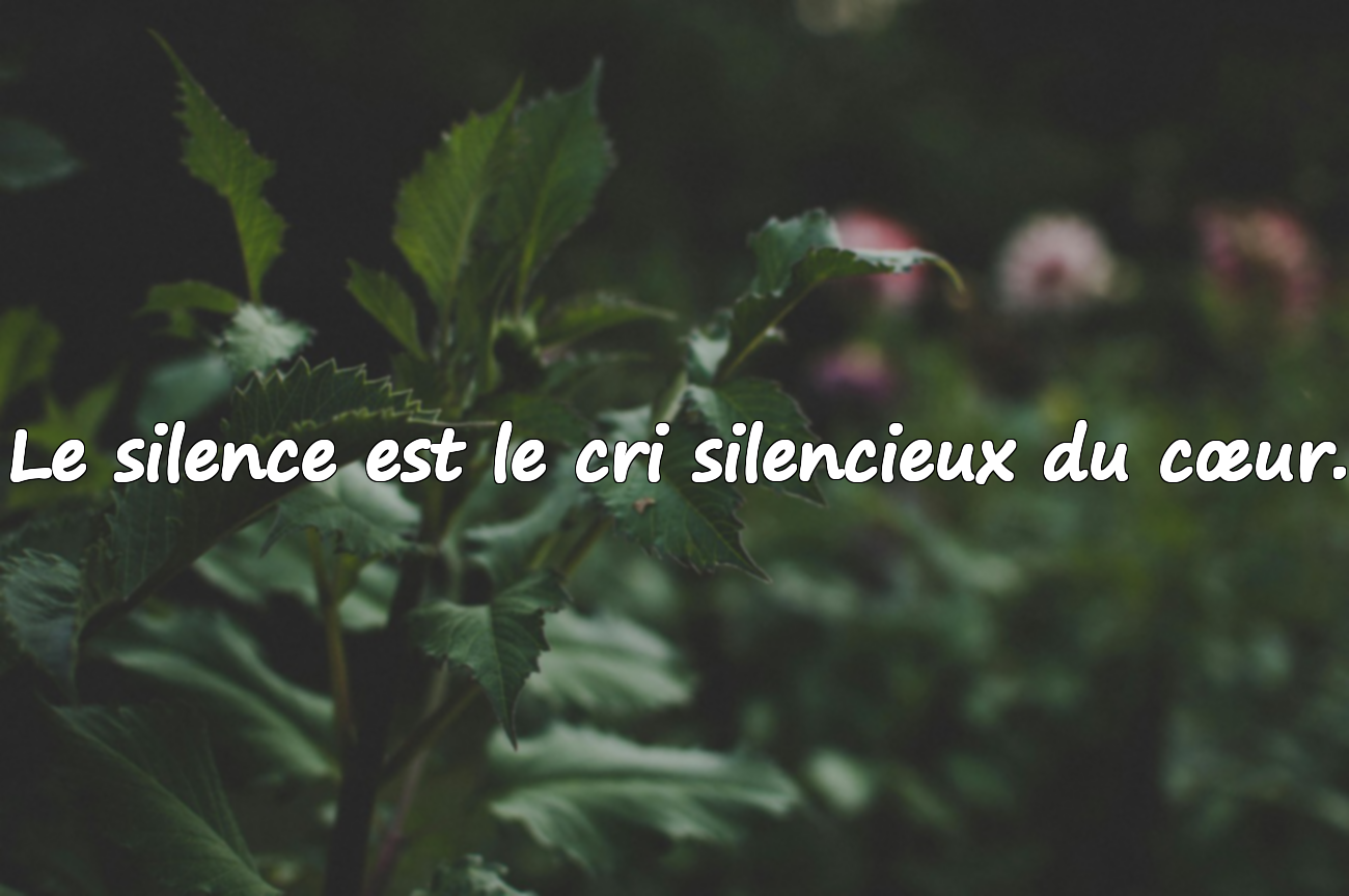 Citations sur le silence