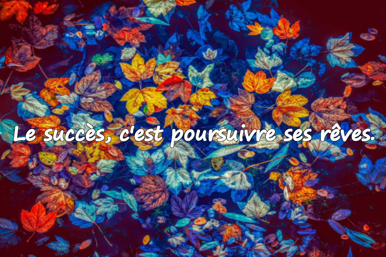 Citations sur le succès