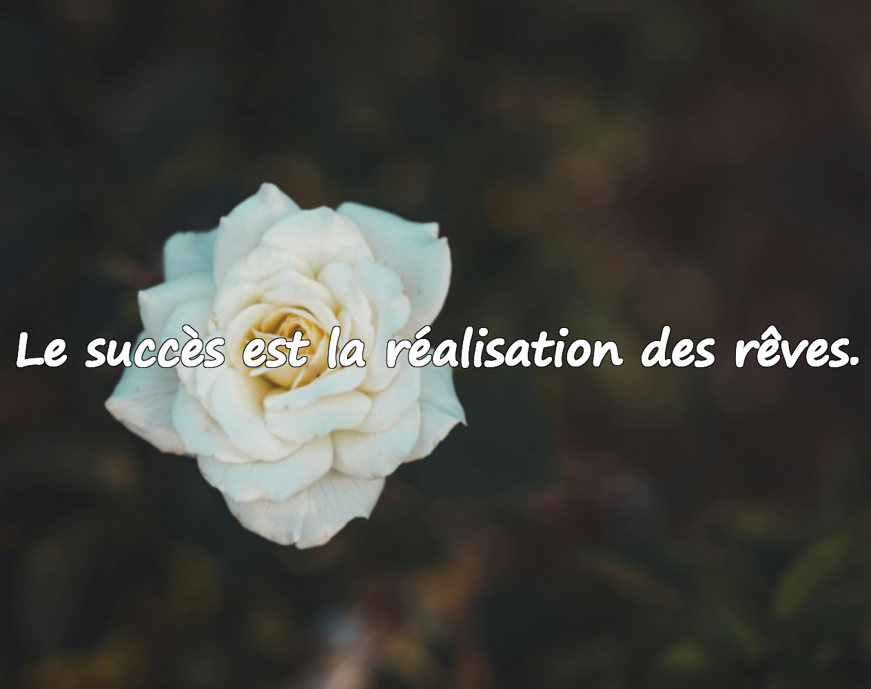 Citations sur le succès