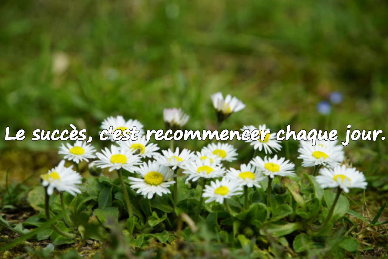 Citations sur le succès