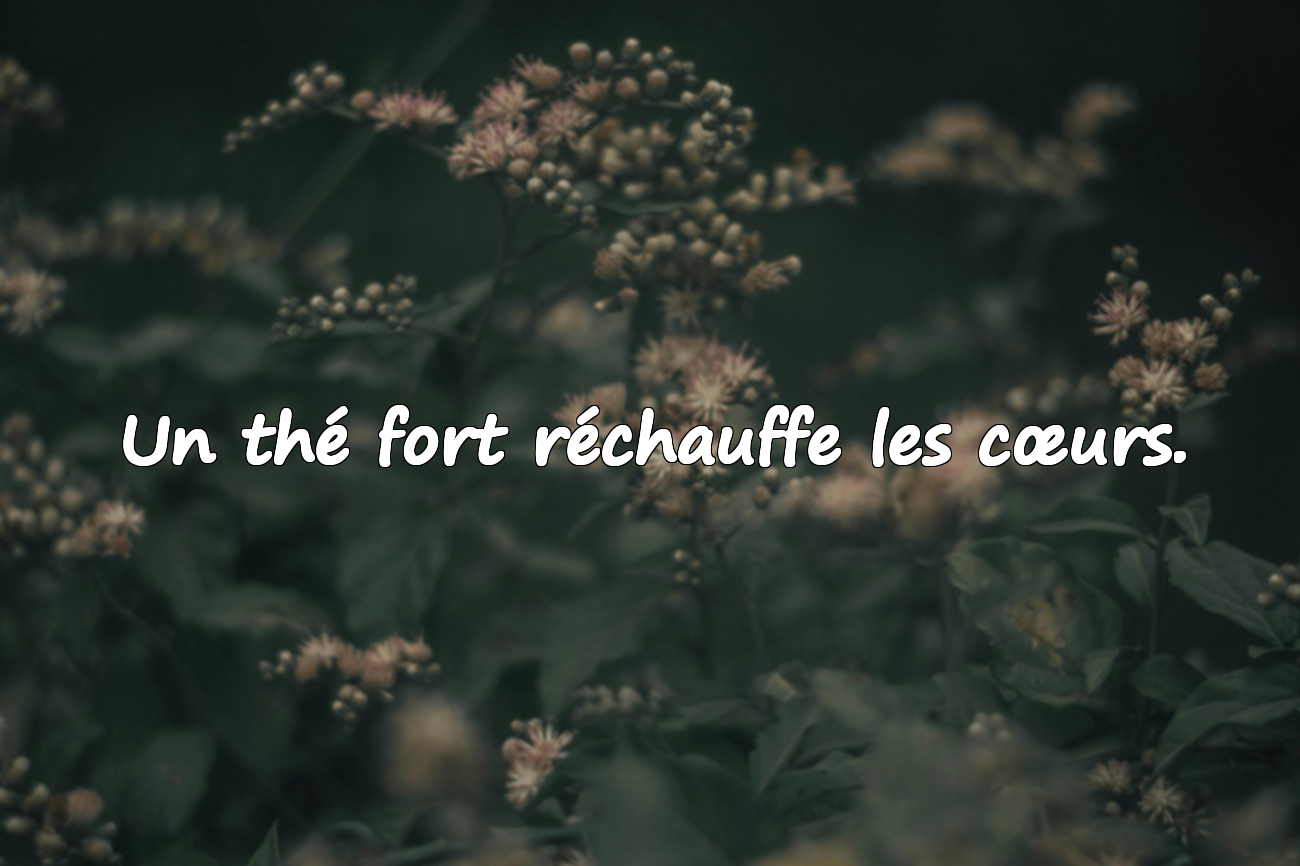 Un thé fort réchauffe les cœurs.