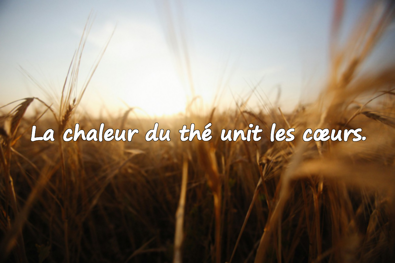 Citations sur le thé