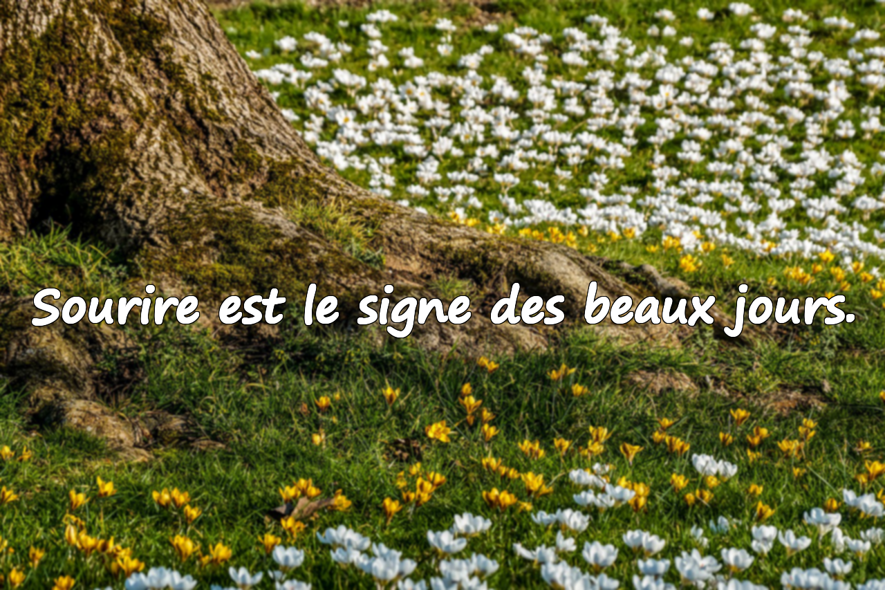 Sourire est le signe des beaux jours.