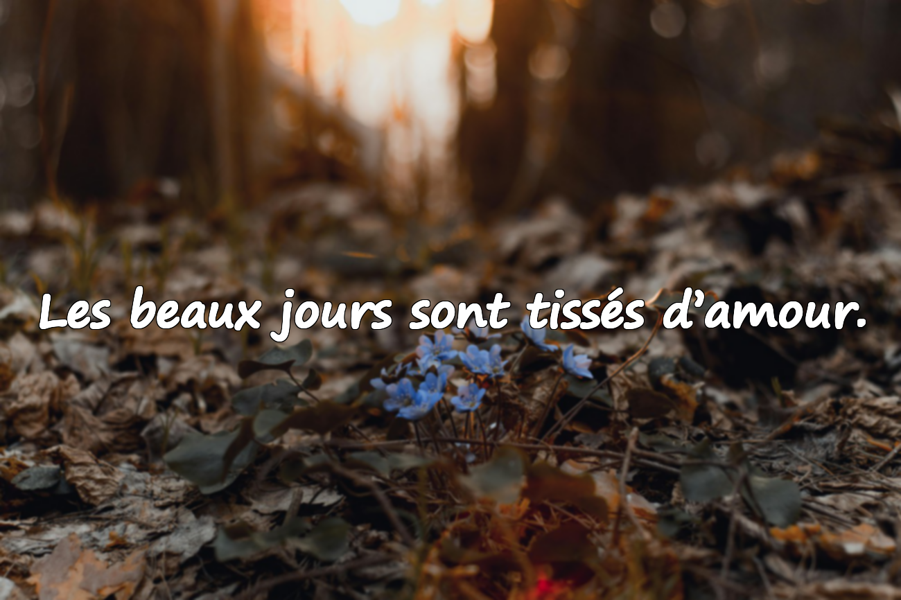 Citations sur les Beaux Jours