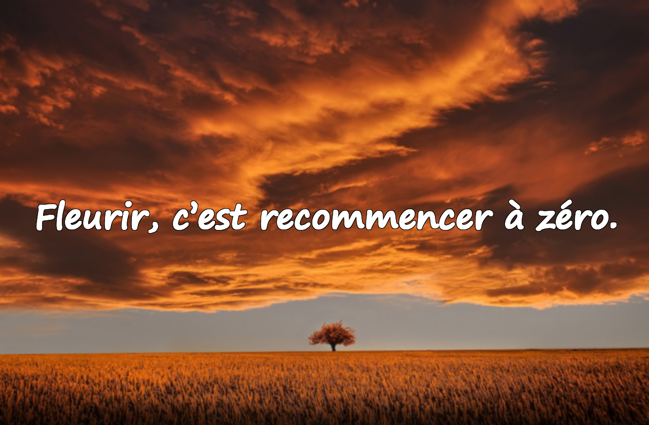 Citations sur les Fleurs