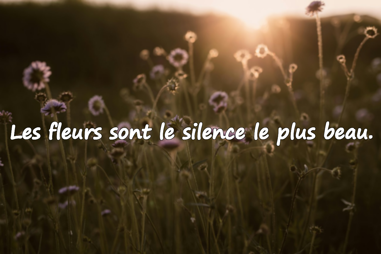 Citations sur les Fleurs