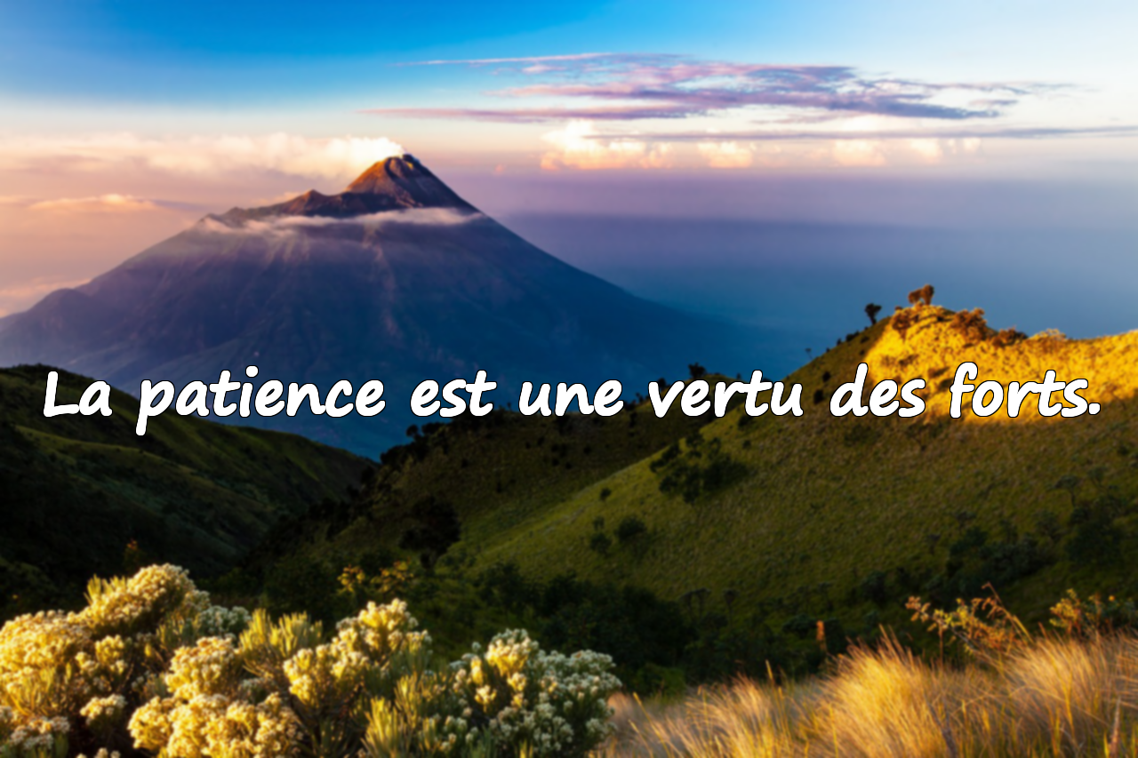 Citations sur les attentes et la patience