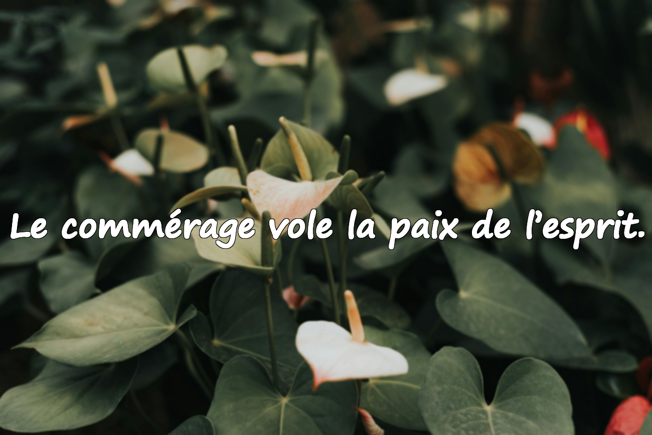 Citations sur les commérages
