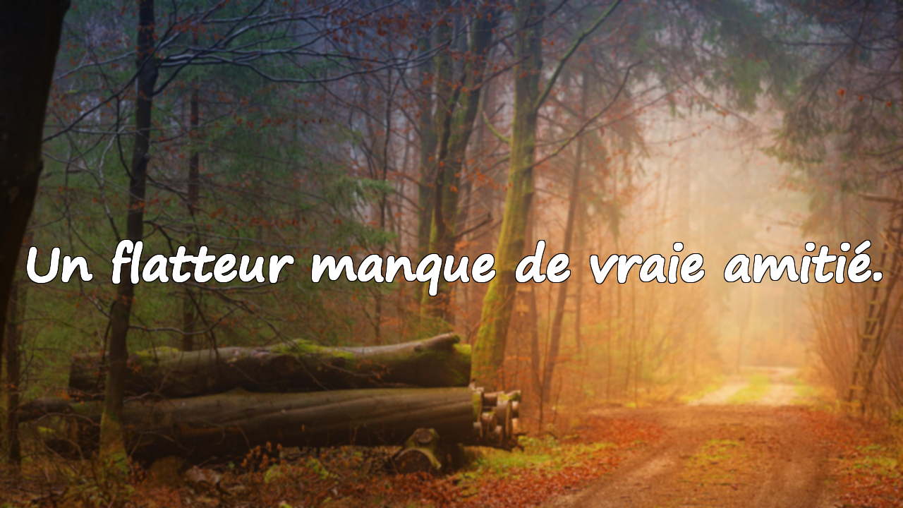 Citations sur les flatteurs
