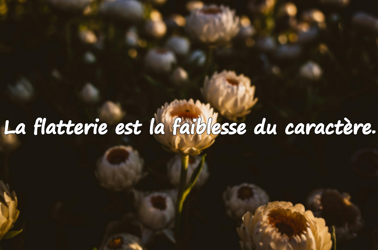 Citations sur les flatteurs