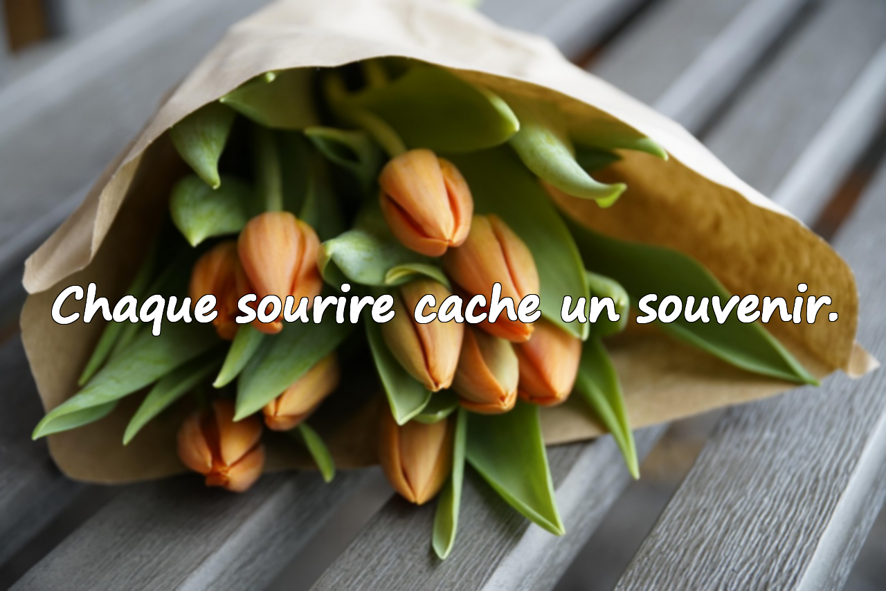 Citations sur les souvenirs