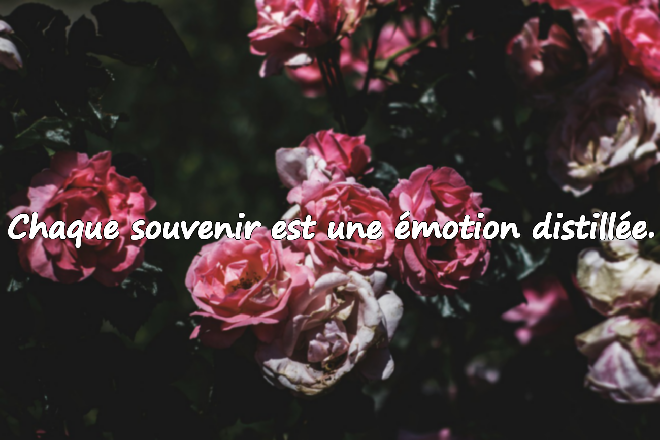Citations sur les souvenirs