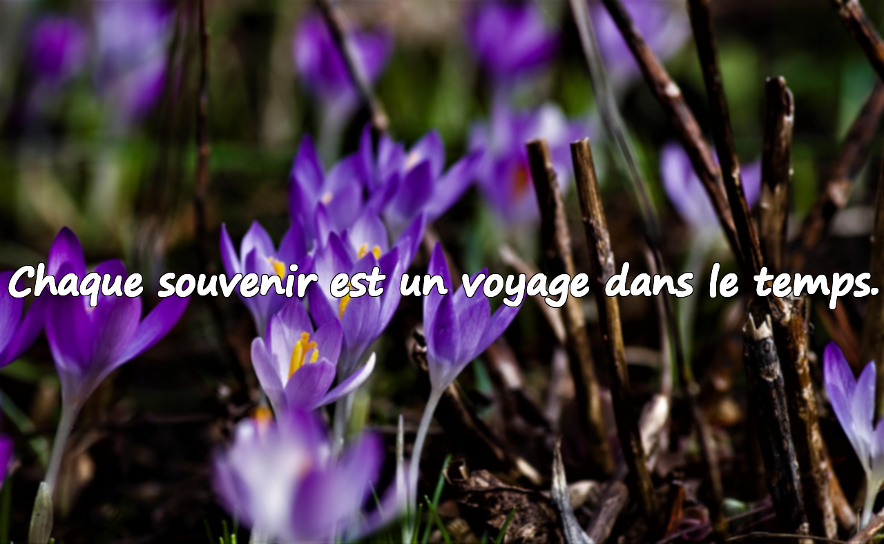 Citations sur les souvenirs