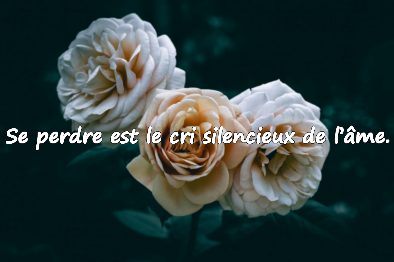 Se perdre est le cri silencieux de l’âme.