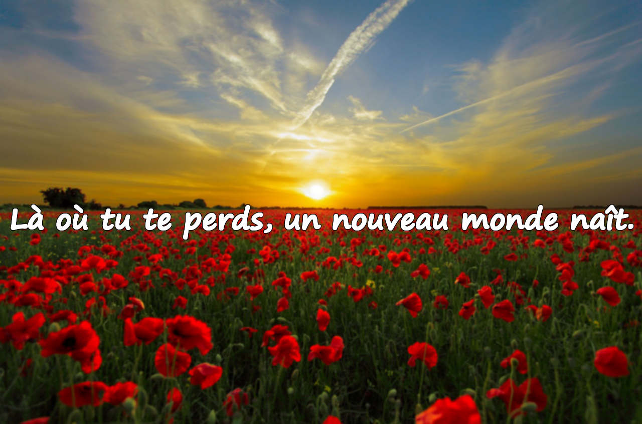 Là où tu te perds, un nouveau monde naît.