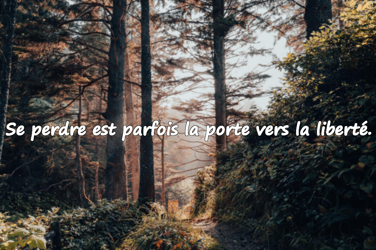 Se perdre est parfois la porte vers la liberté.