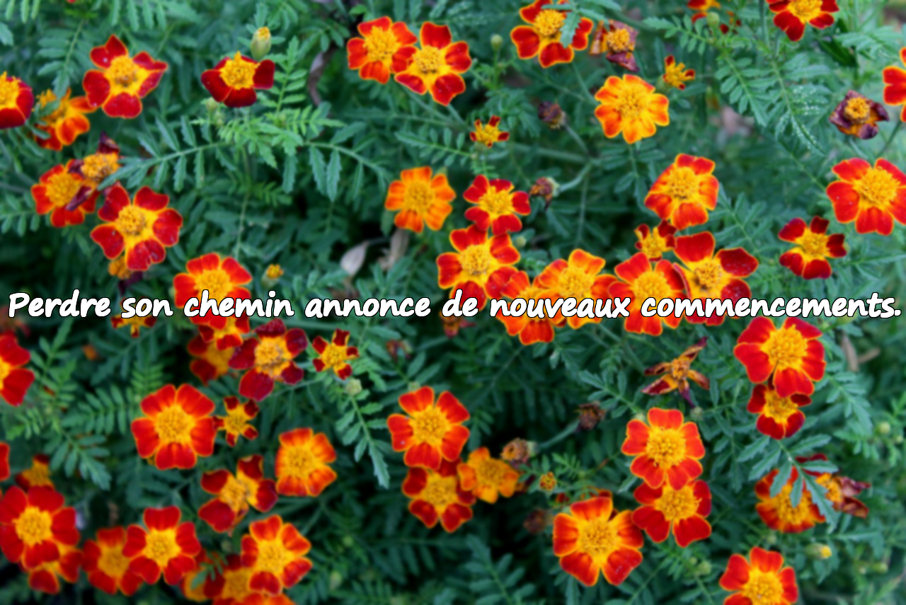 Perdre son chemin annonce de nouveaux commencements.