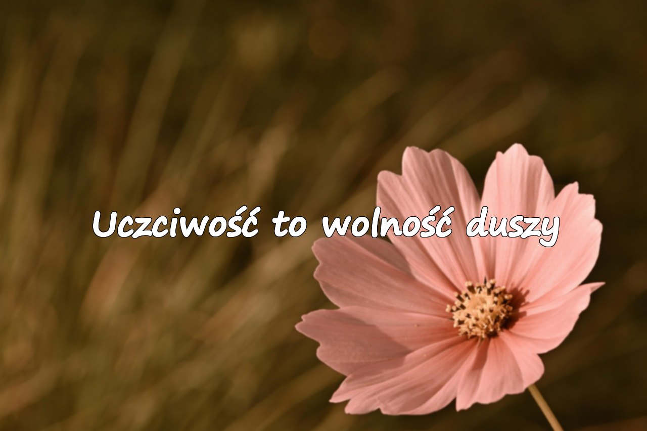 Uczciwość to wolność duszy