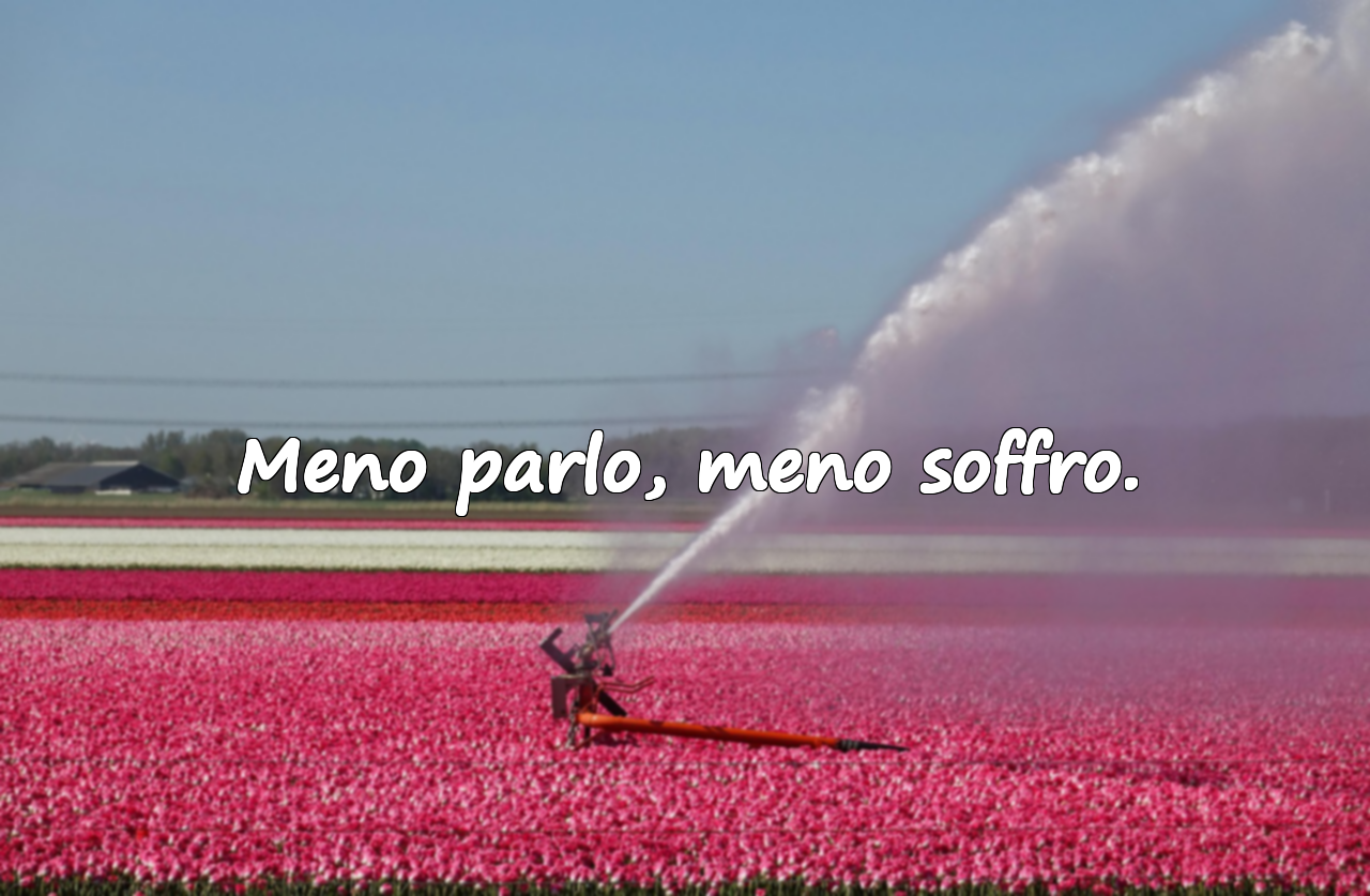 Citazioni Asociali