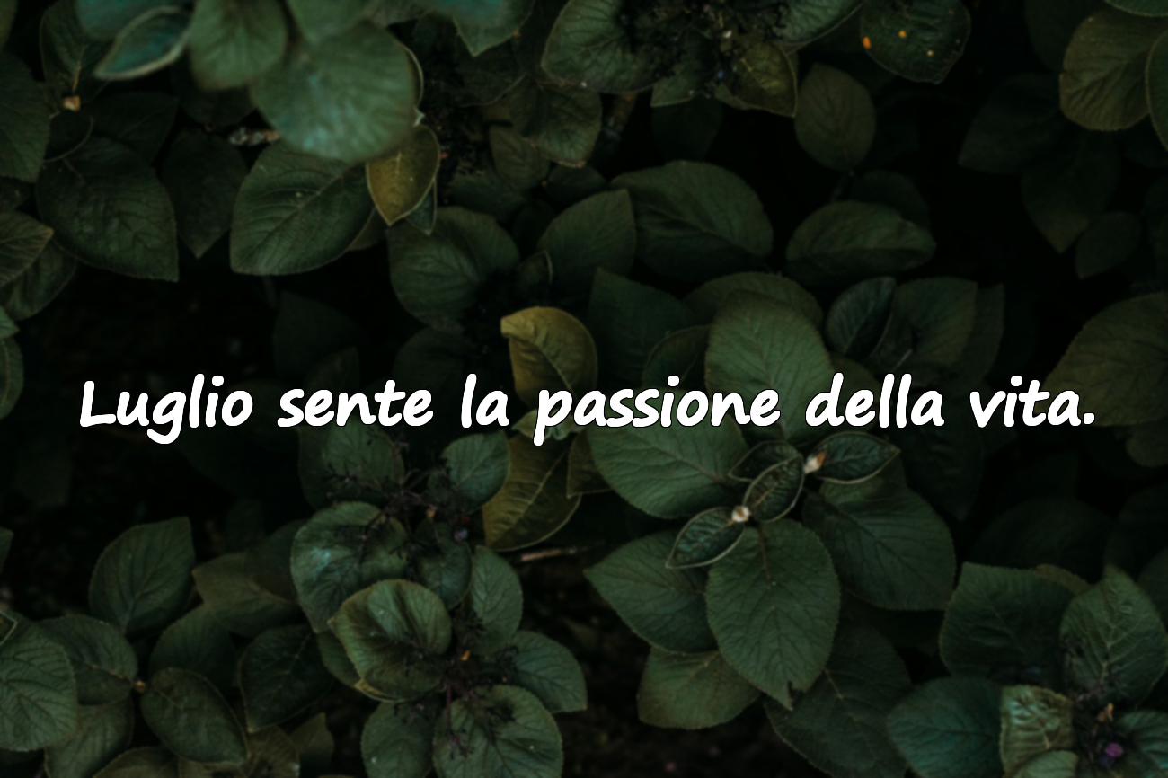 Citazioni Significative su Luglio