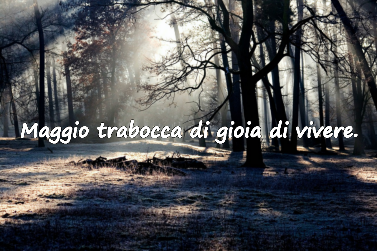 Citazioni Significative su Maggio