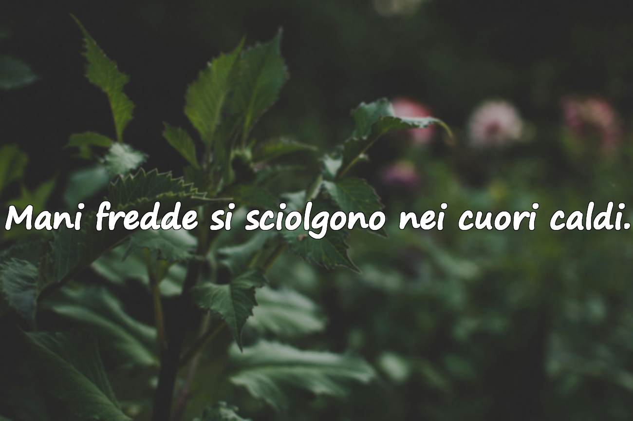 Citazioni Significative sul Mese di Novembre