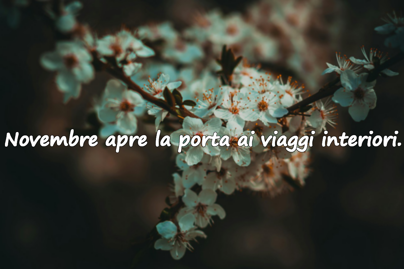 Citazioni Significative sul Mese di Novembre