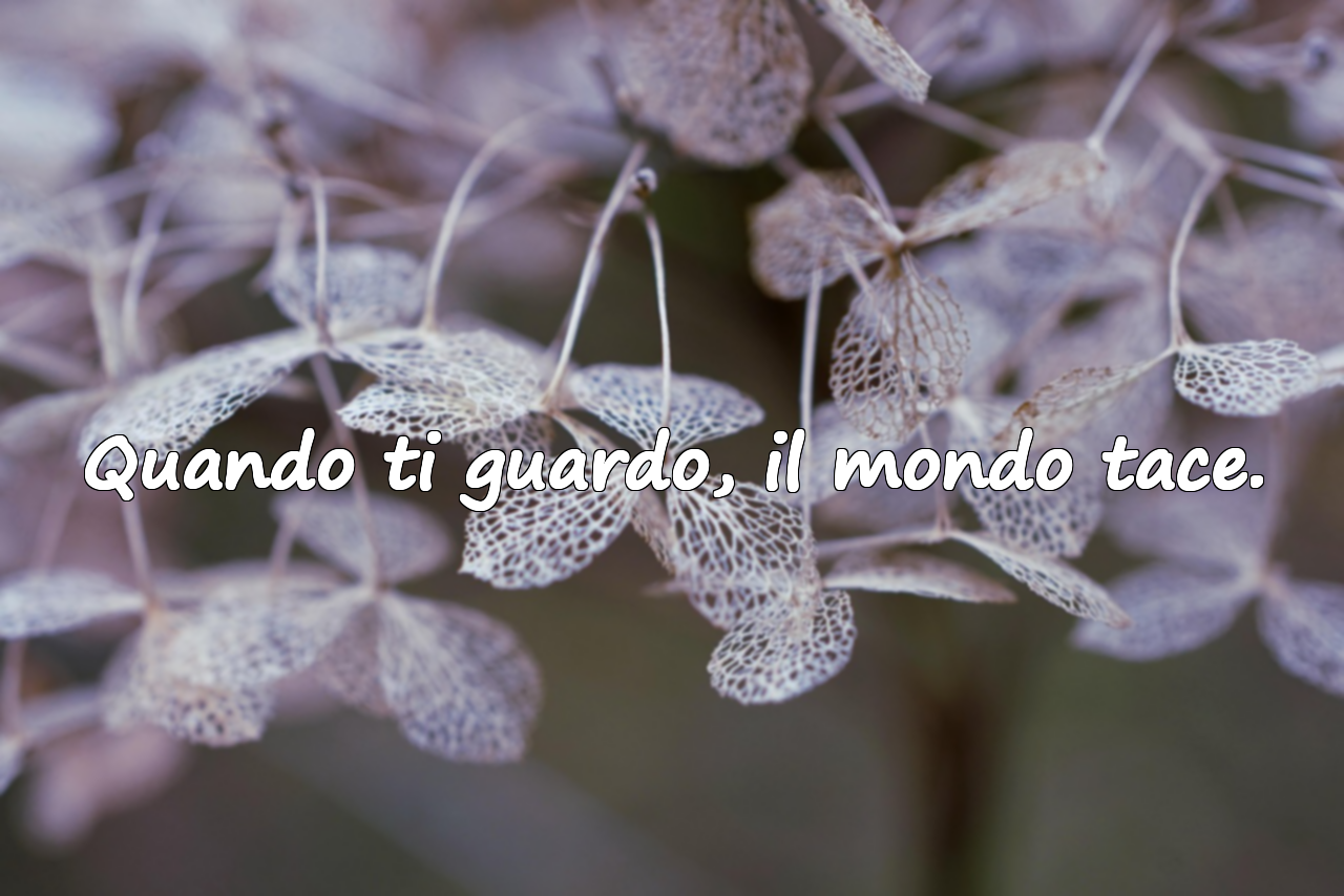 Quando ti guardo, il mondo tace.