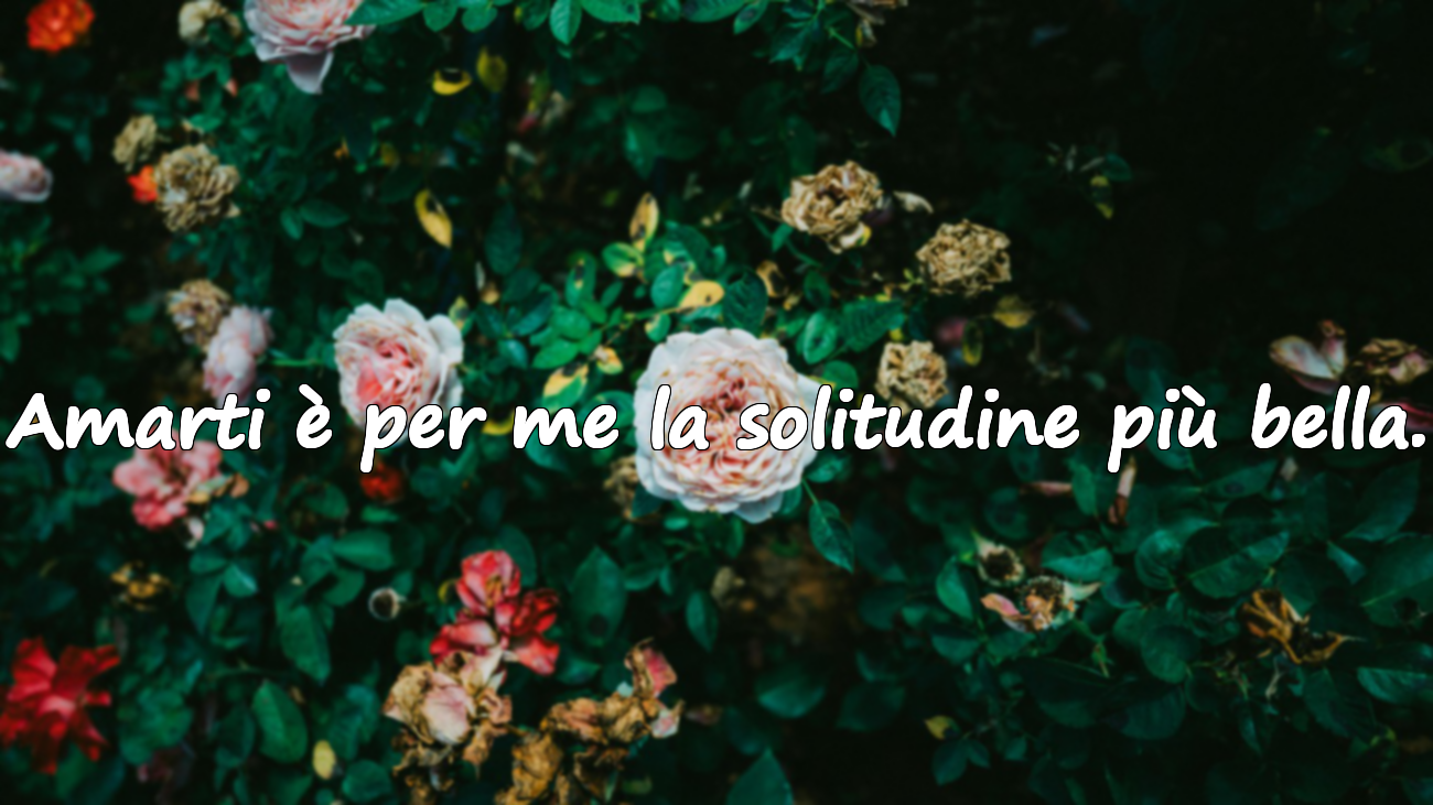 Amarti è per me la solitudine più bella.