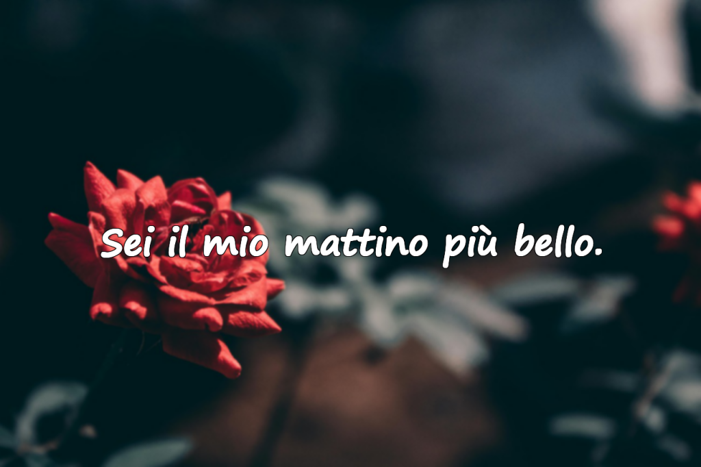 Citazioni da parete – Tema amore