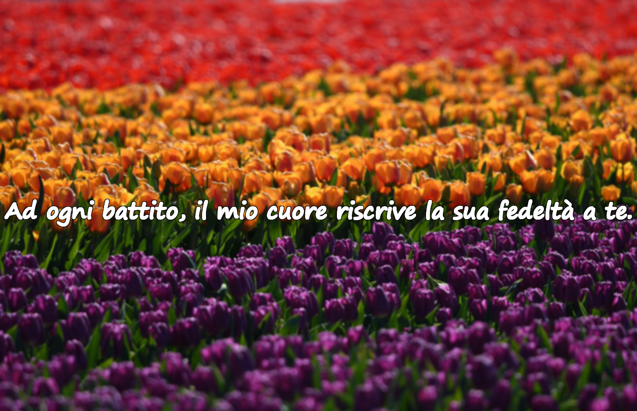 Ad ogni battito, il mio cuore riscrive la sua fedeltà a te.