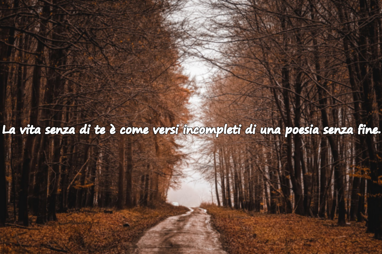 La vita senza di te è come versi incompleti di una poesia senza fine.