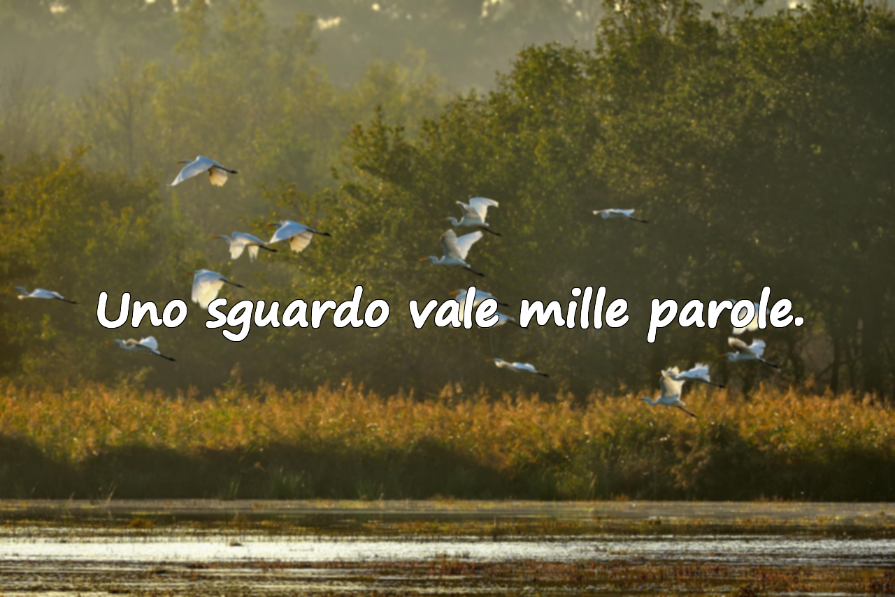 Citazioni significative e complimentose sul contatto visivo